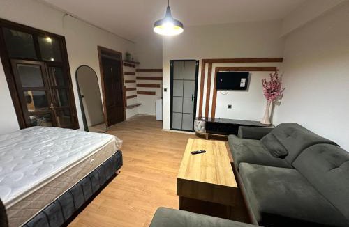 Sur Hotel | Star Mansion