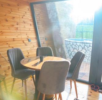 Sapanca Villa | Tina Bungalov