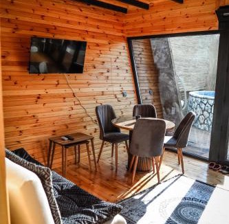 Sapanca Villa | Tina Bungalov