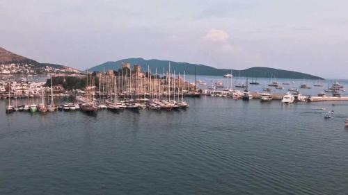Bodrum City Center Hotel | Tosunpasa Cafe Otel