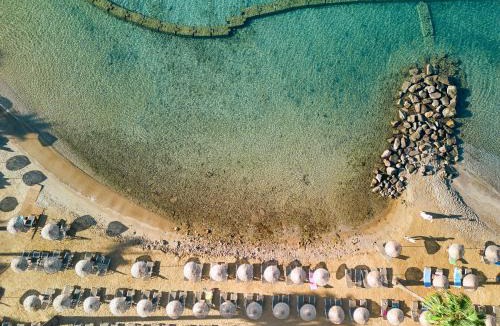 Bodrum Resort | TUI MAGIC LIFE Bodrum - Adults Only