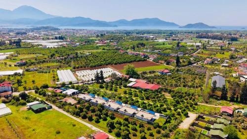 Fethiye Villa | VİLLA Terasa