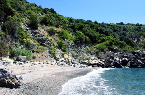 Gazipasa House | Zeytinada Pansiyon ve Gozleme