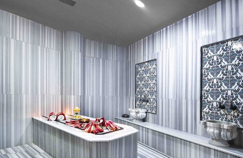 Gokcedere Hotel | Zir Dream Thermal & Spa Hotel