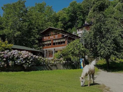 Özde Dağ Evi