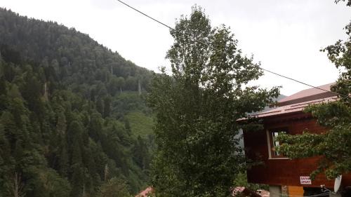 AYDER ŞAFAK Apart