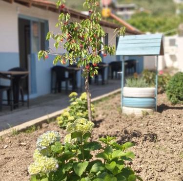 Bizim Pansiyon