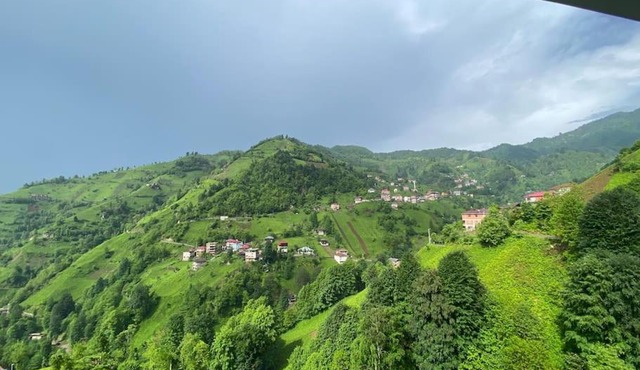 Doğal hayat için bizi seçin in Çamlıhemşin