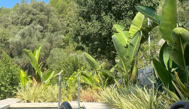 Elmalı Guest House A simple, serene, and deeply peaceful life awaits you!