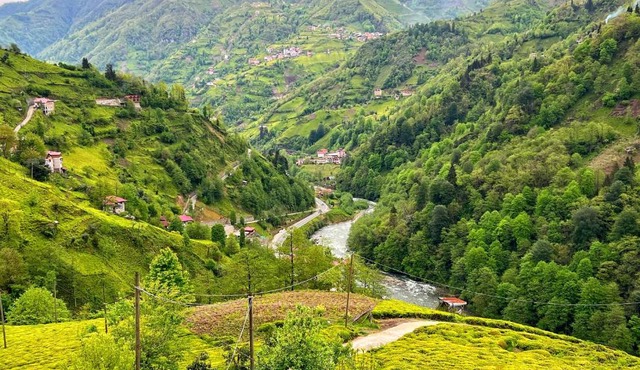 Heaven Ayder Apartment in Dikkaya