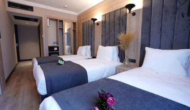 Mineo Hotel Taksim in Istanbul