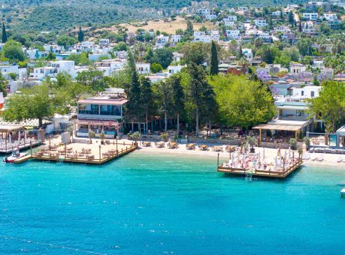 Orkide Bodrum