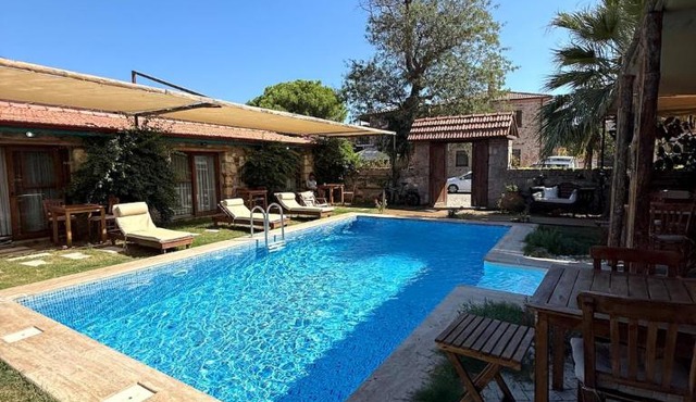 Pet Friendly Pool Suites