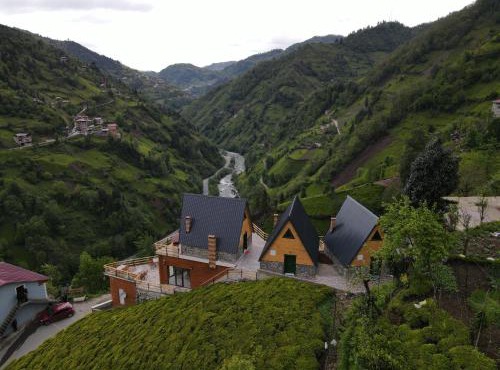 Puleri Dağevi&BUNGALOW