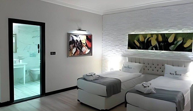 Real House Boutique Hotel in Kocasinan