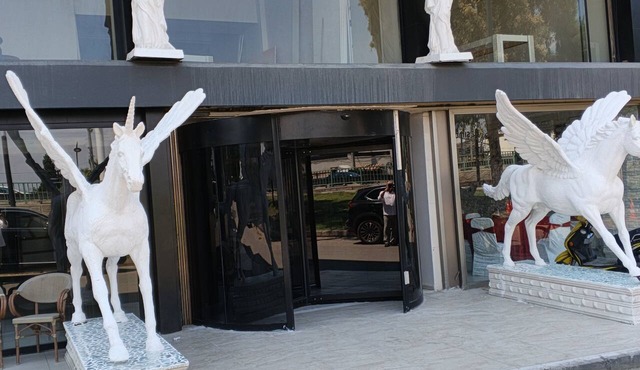 Salihli Sardis otel