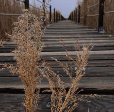 Sultan Pansion Bird Paradise in Ovaciftlik