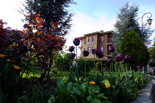 Turquhouse Hotel in Sakarya Province