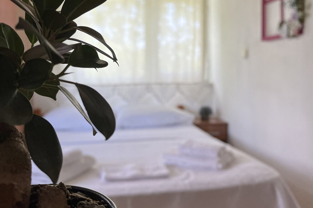 Ayvacik Hotel | Assos Anemoia
