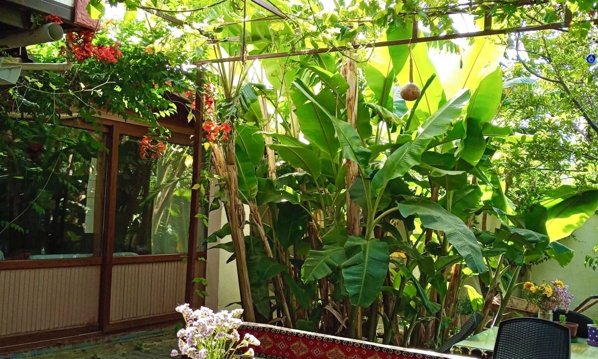 Karaburun Bed & Breakfast | Aydeniz pansiyon