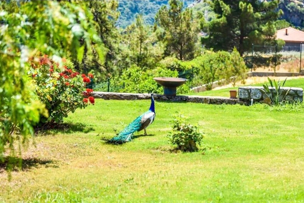 Avlana House | Greenery Home with Shared Pool in Marmaris