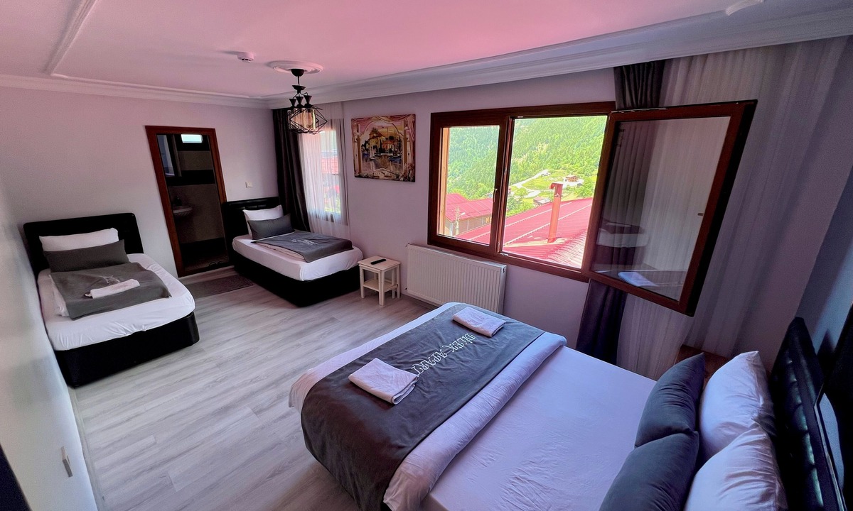Uzungol Apartment | DİLEK APART