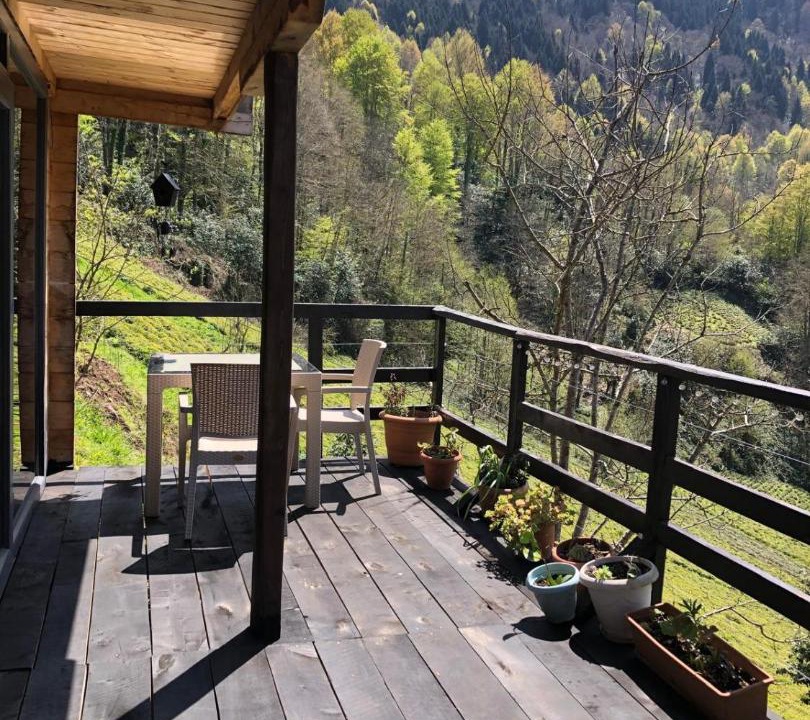 Rize Ski Chalet | Taentepe