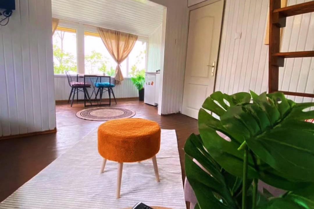 Sapanca Ski Chalet | Sapanca Balkaya Bungalov Dağ evi