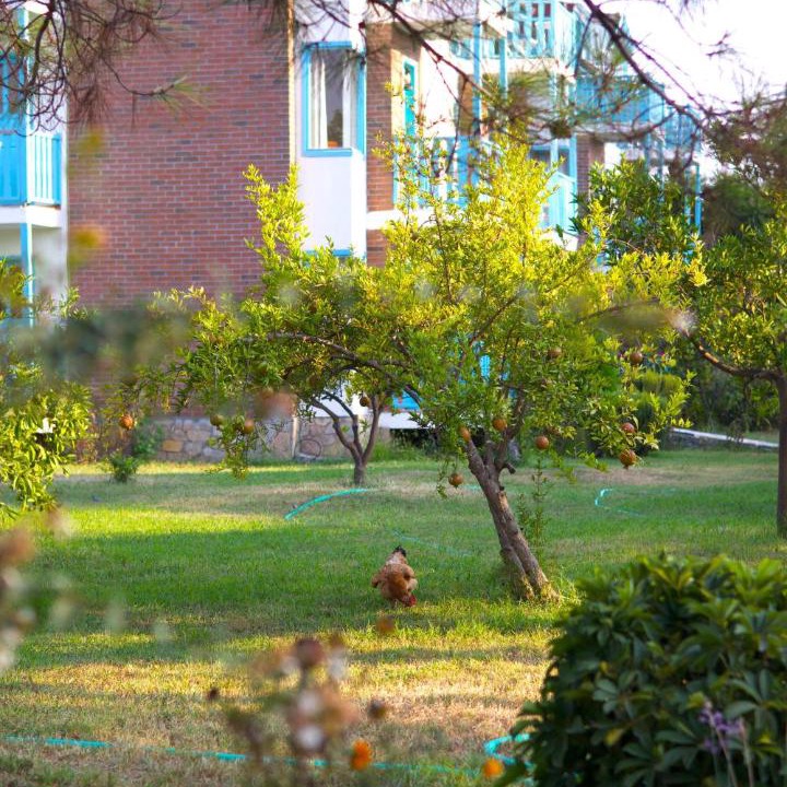 Yaniklar Hotel | Yonca Lodge