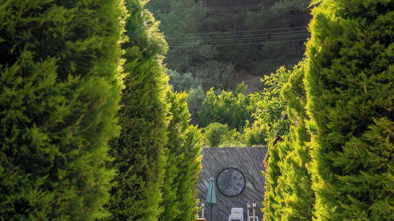 Photo of Outdoor in Karaoz