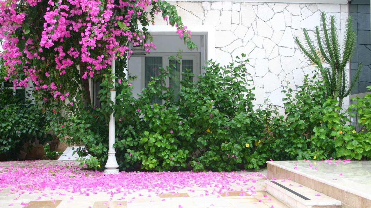 Photo of Outdoor in Icmeler
