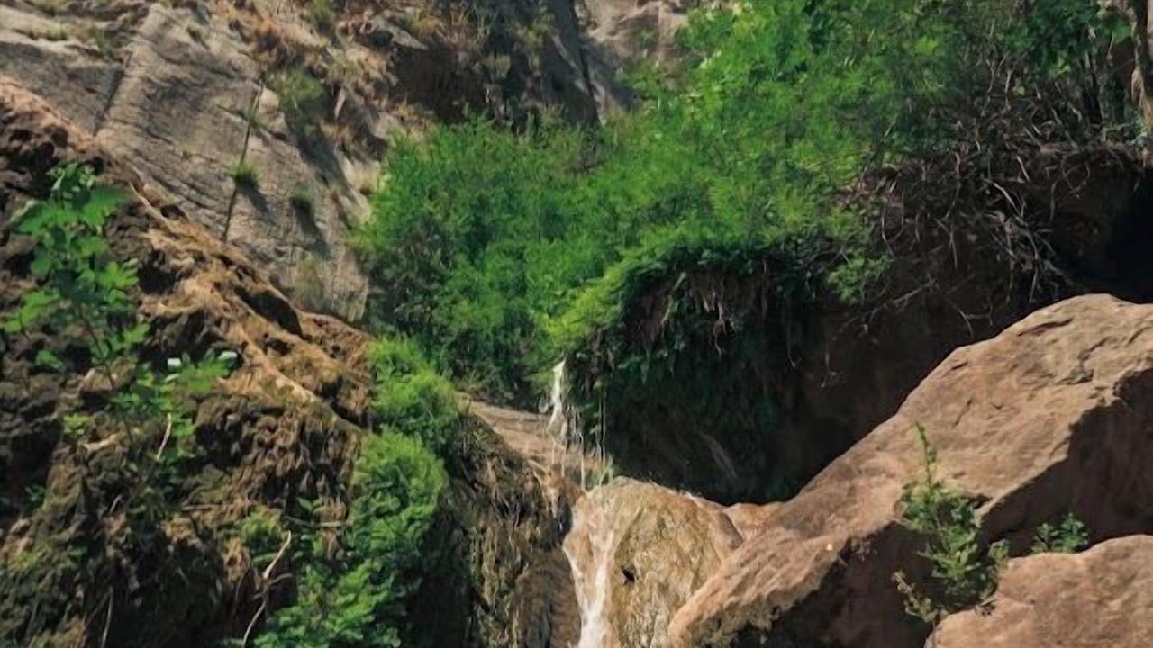 Photo of Others in Faralya