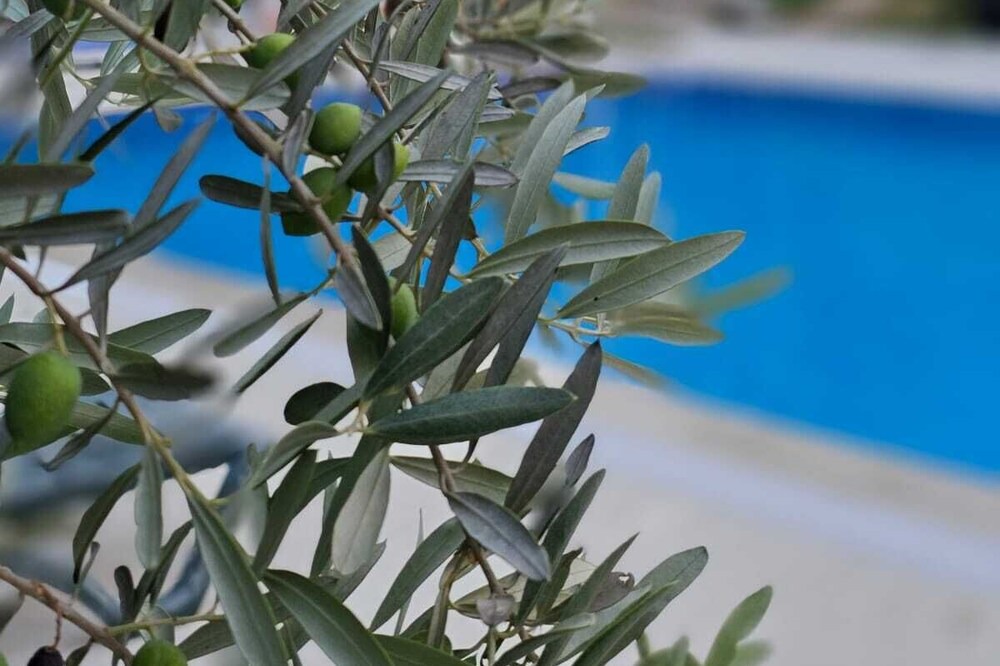 Photo of Outdoor in Olympos