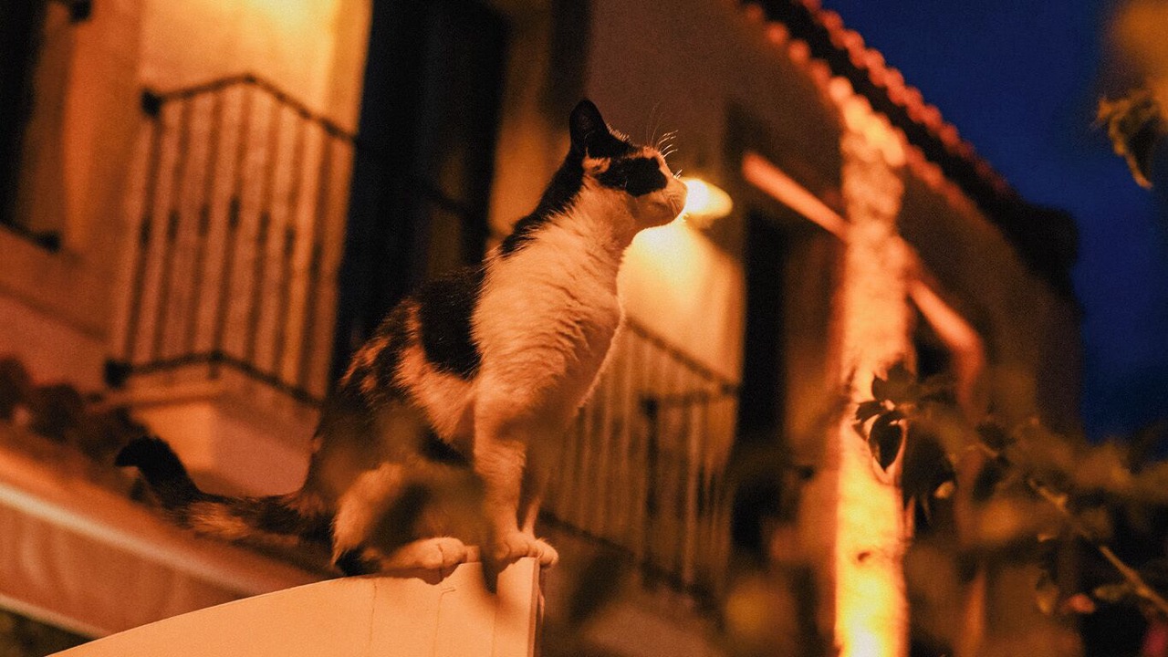 Photo of Outdoor in Alacati