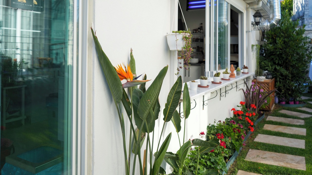 Photo of Outdoor in Alacati