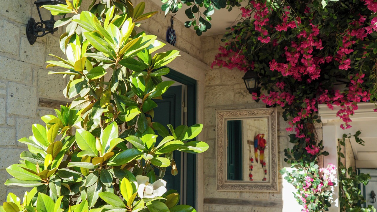 Photo of Others in Alacati