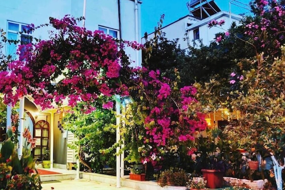 Photo of Outdoor in Oren