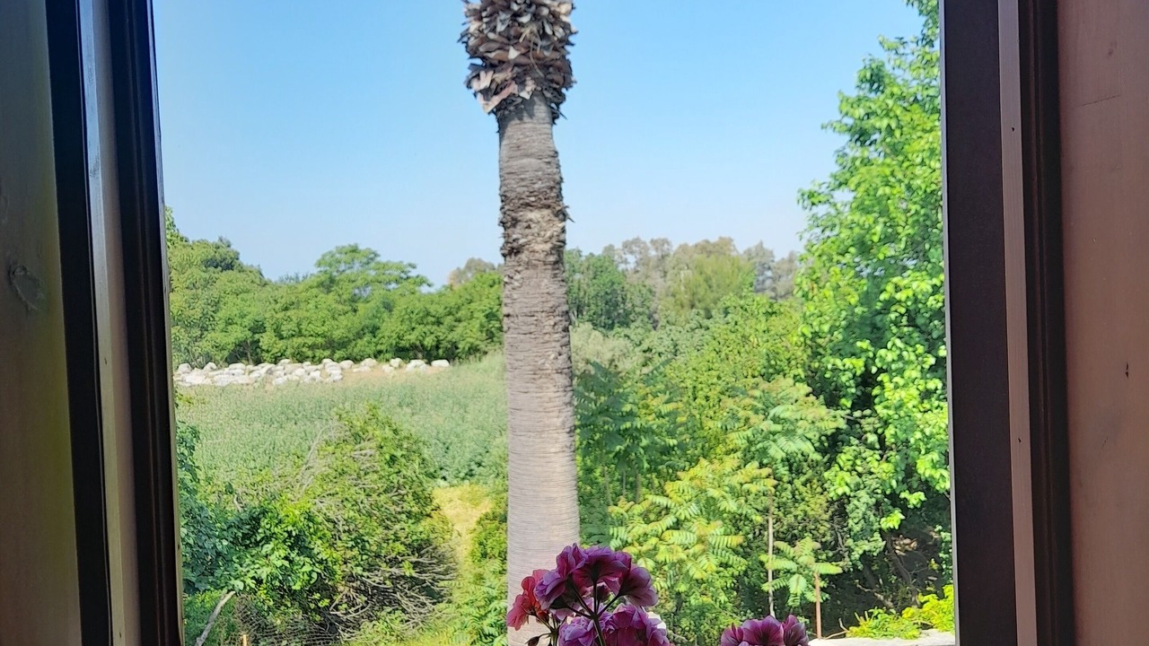 Photo of Bedroom in Selcuk