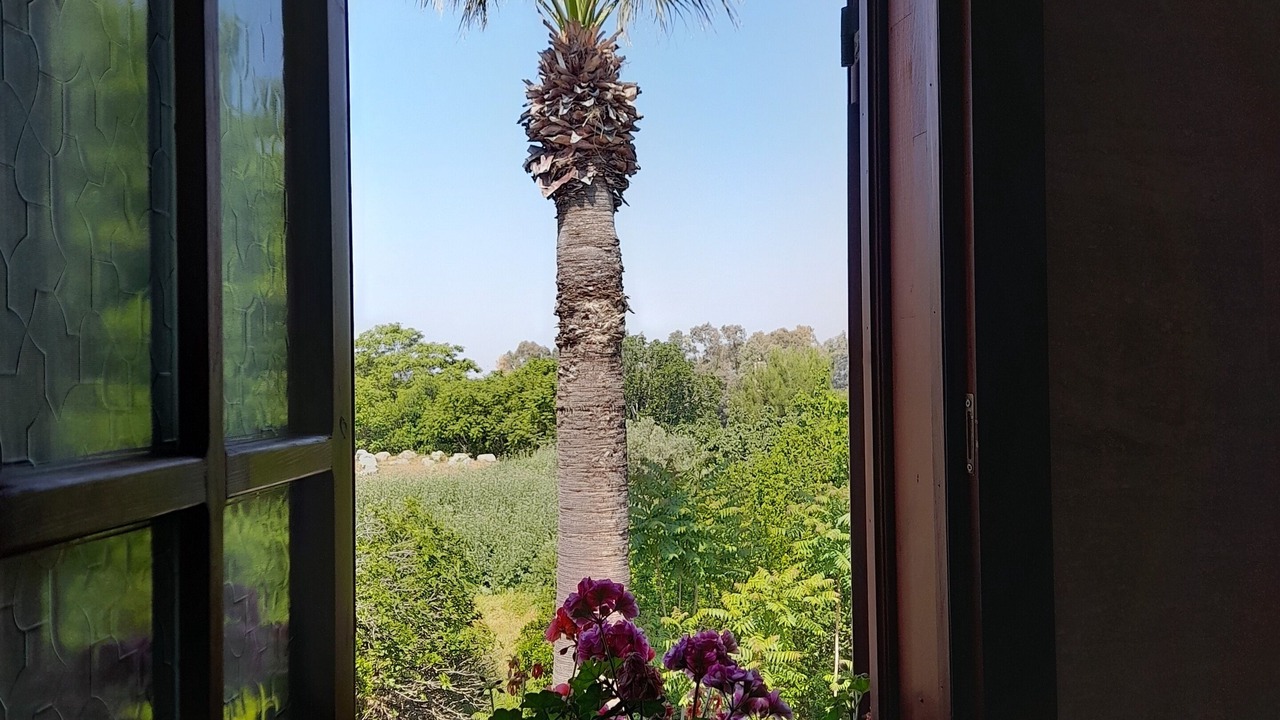 Photo of Bedroom in Selcuk