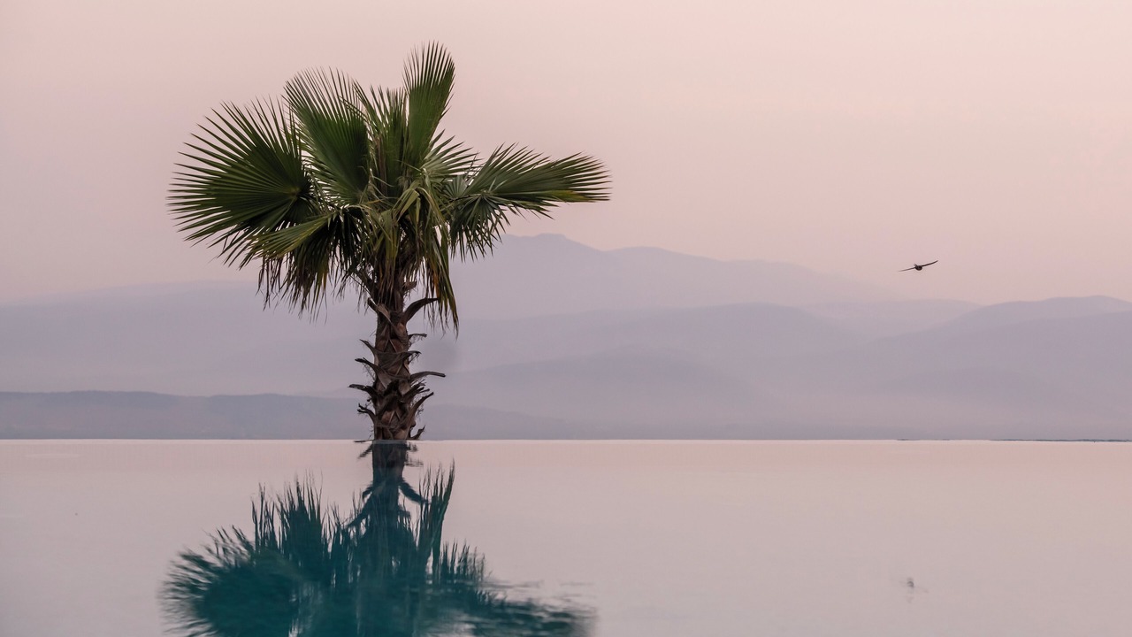 Photo of Outdoor in Selcuk