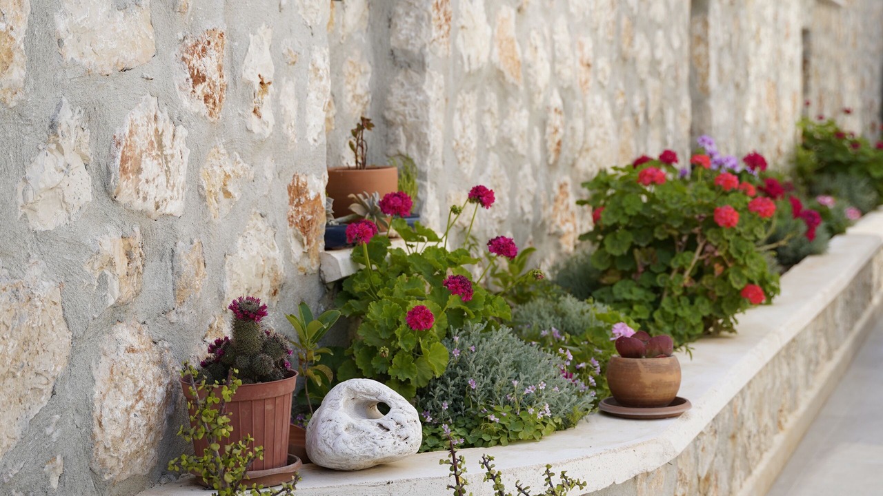 Photo of Outdoor in Kalkan