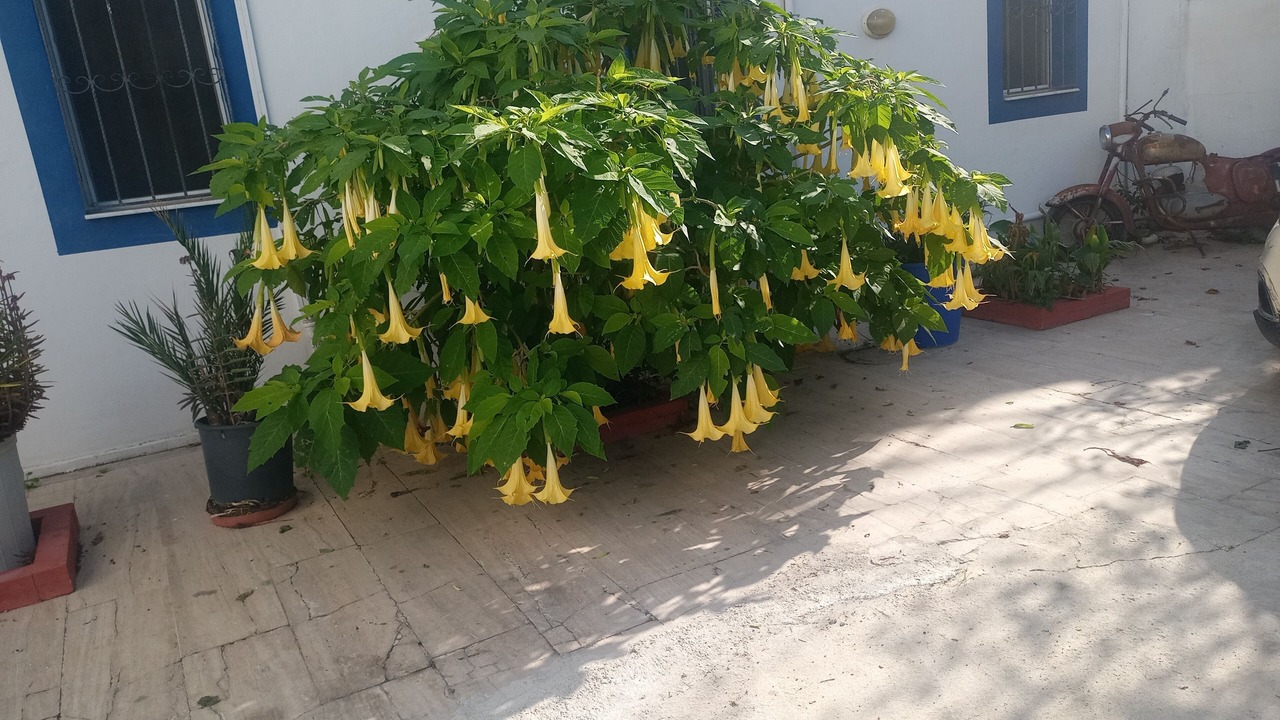 Photo of Outdoor in Bodrum City Center