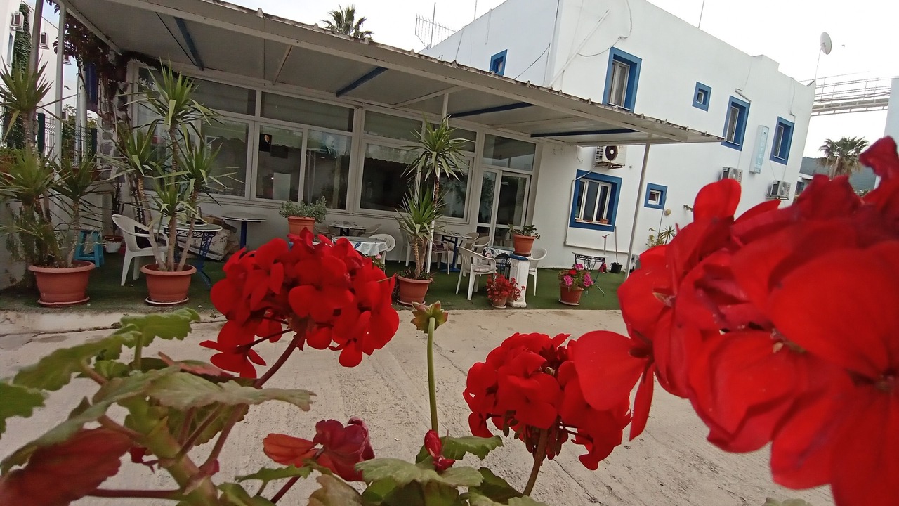 Photo of Outdoor in Bodrum City Center