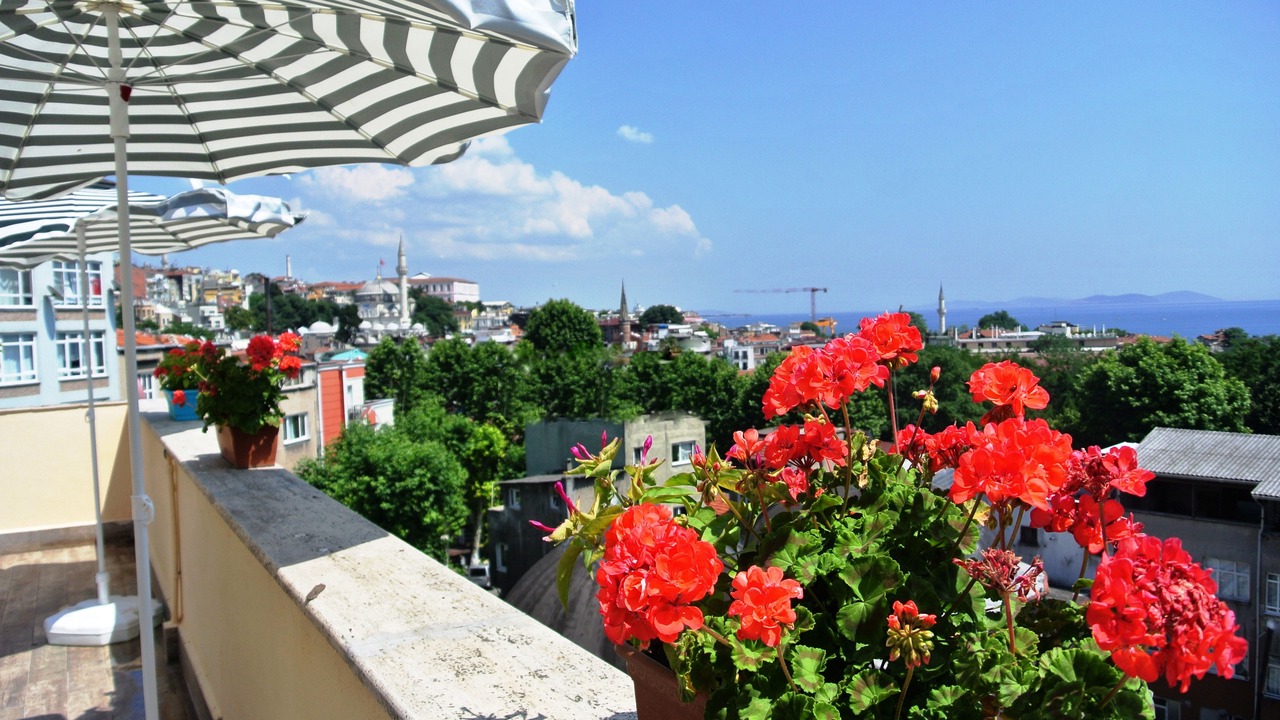 Photo of Others in Emin Sinan