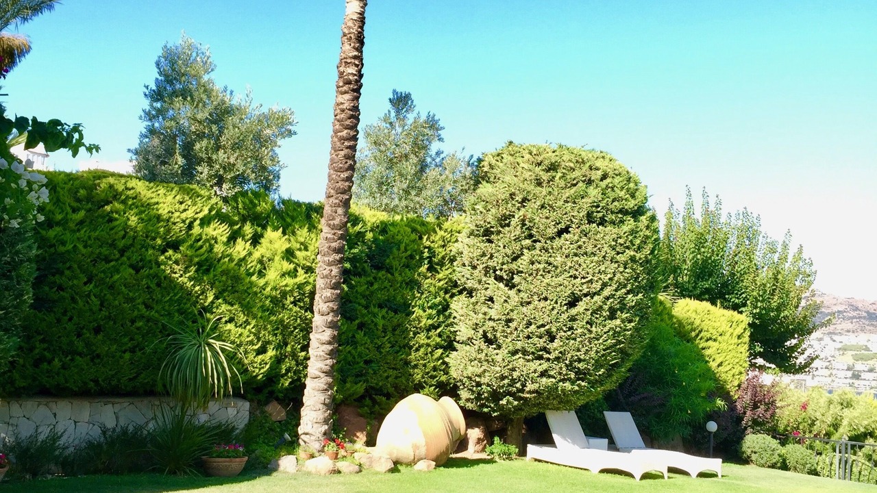 Photo of Outdoor in Gundogan