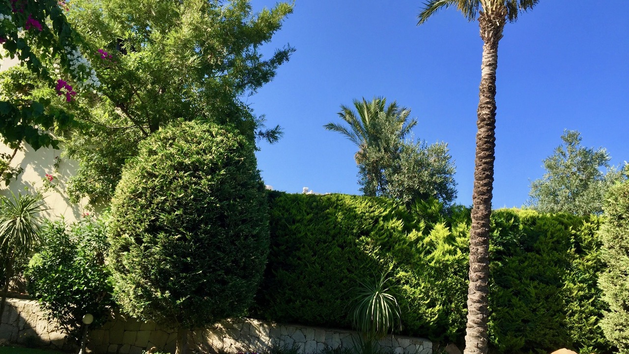 Photo of Outdoor in Gundogan