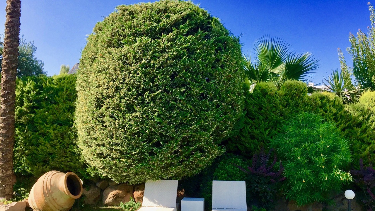 Photo of Outdoor in Gundogan