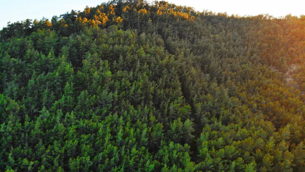 Photo of Outdoor in Gocek