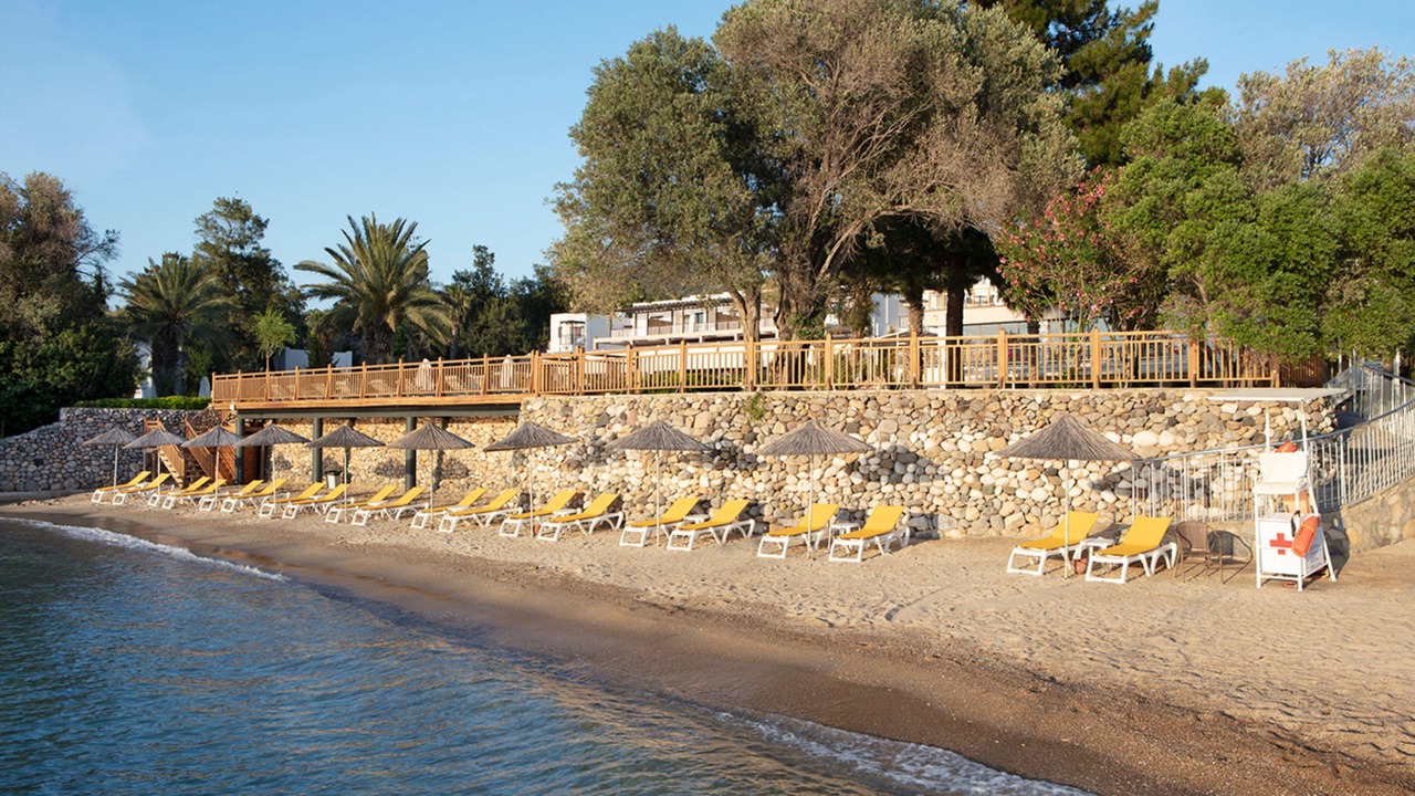 Photo of Others in Torba