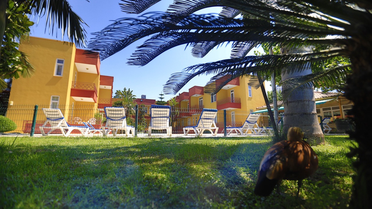 Photo of Outdoor in Camyuva